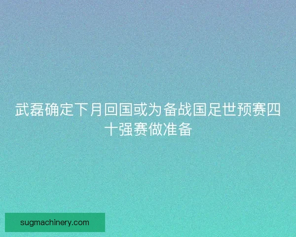 武磊确定下月回国或为备战国足世预赛四十强赛做准备 武磊确定下月回国或为备战国足世预赛四十强赛做准备