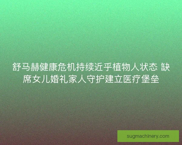 舒马赫健康危机持续近乎植物人状态 缺席女儿婚礼家人守护建立医疗堡垒 舒马赫健康危机持续近乎植物人状态 缺席女儿婚礼家人守护建立医疗堡垒