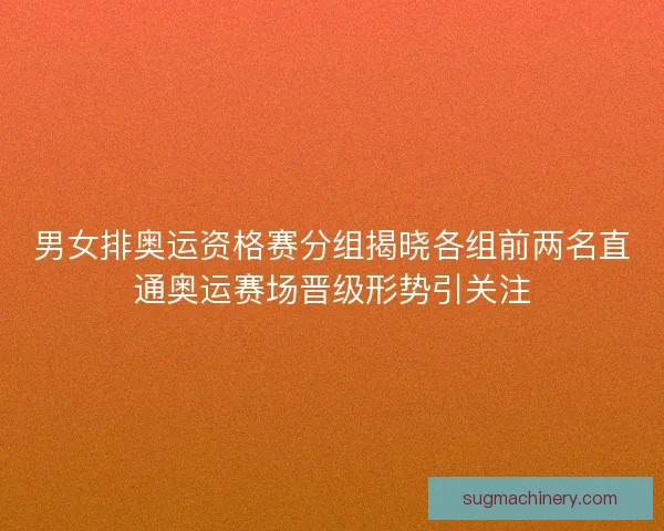 男女排奥运资格赛分组揭晓各组前两名直通奥运赛场晋级形势引关注